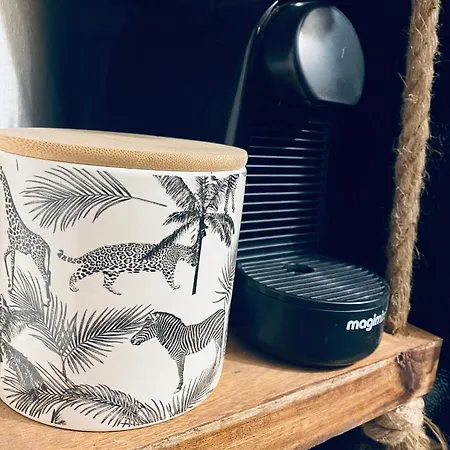 Le Jungle En Plein Coeur De Nîmes