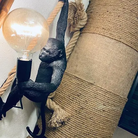 Le Jungle En Plein Coeur De Apartamento Nimes