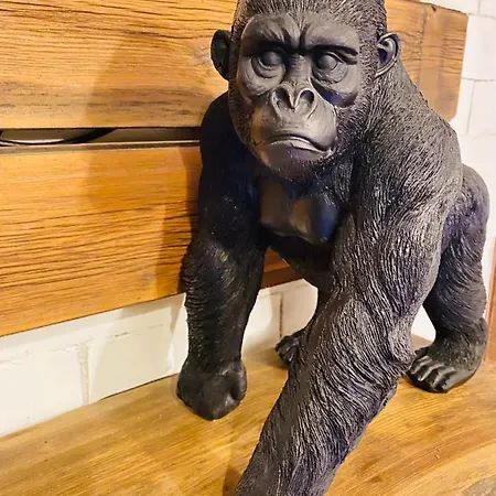 Apartamento Le Jungle En Plein Coeur De *